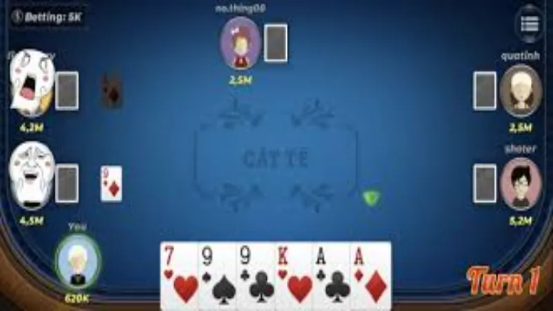 How to play the card game catte at online betting halls